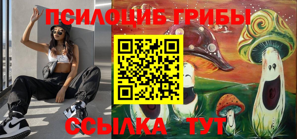 Псилоцибиновые грибы Psilocybine cubensis Железноводск