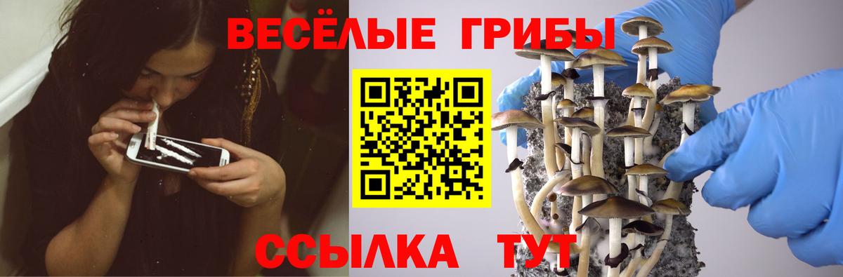 Галлюциногенные грибы Magic Shrooms  Вход с VPN  Железноводск 